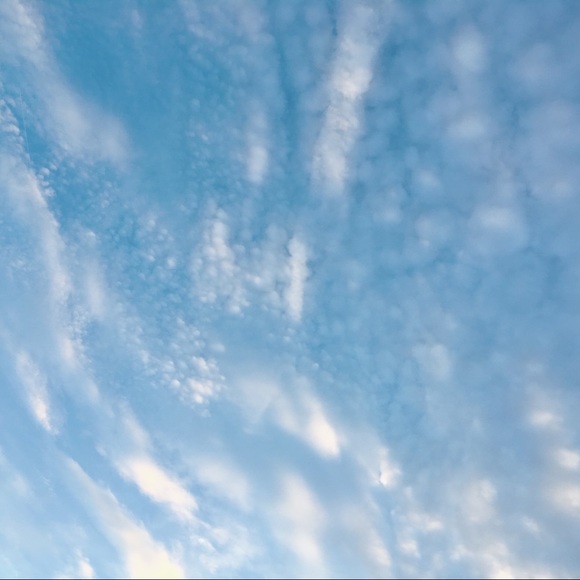 Meet your Posher, Cocoâ - Picture 1 of 1